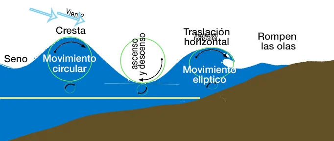 formación de olas Entorno náutico: lo que todo constructor amateur debe conocer