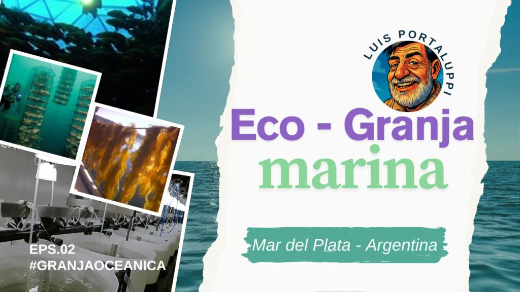 Proyecto de acuicultura marina sustentable basado en IMTA con producción integrada de peces, moluscos y algas en Argentina